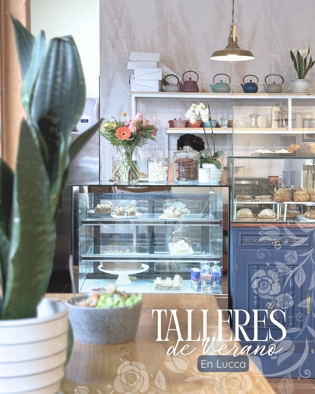 Interior de Lucca: la vitrina de pastelería, los estantes y las plantas